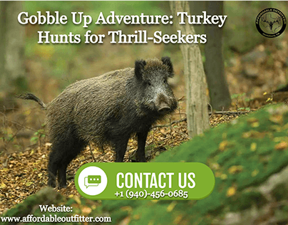 Gobble Up Adventure: Turkey Hunts for Thrill-Seekers