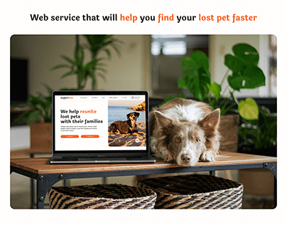 JoyfulPets - a platform to find lost pets faster