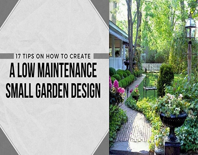 Low Maintenance Small Garden Design