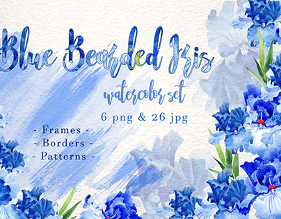 Blue bearded iris PNG watercolor set