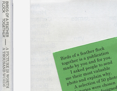 Birds of a Feather - Book Design