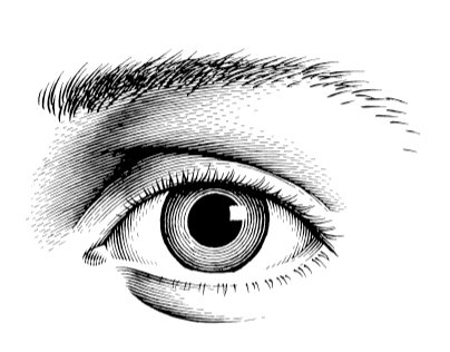 A Slightly Animated Eye (click through to see it blink)