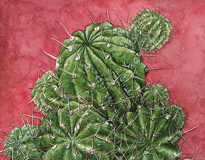 cactus Watercolor