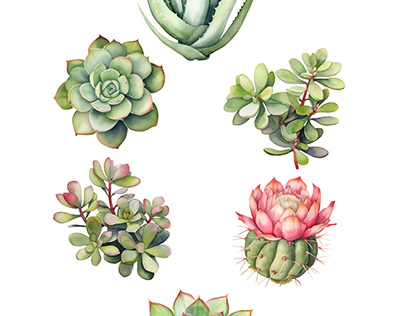 Watercolor collection with succulents plants