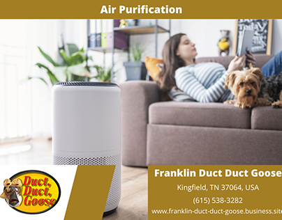 Air Purification In Franklin