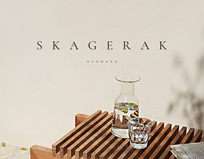 SKAGERAK - INTERACTION