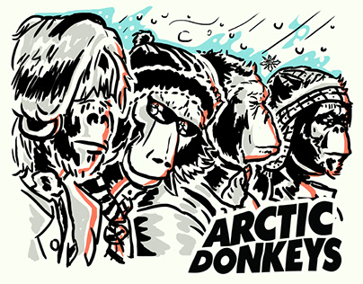 Arctic Donkeys
