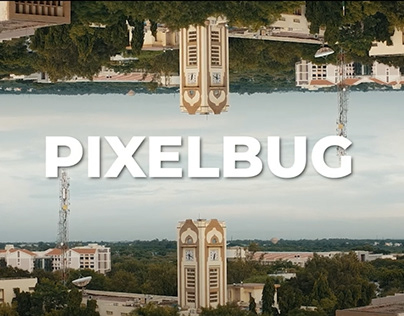 Pixelbug 10.0 Promo