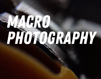 Macro Photography