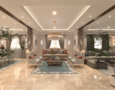 INTERIOR RESIDENTIAL PROJECT