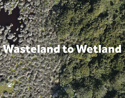 Project thumbnail - Wasteland to Wetland - Master's Thesis - 2023
