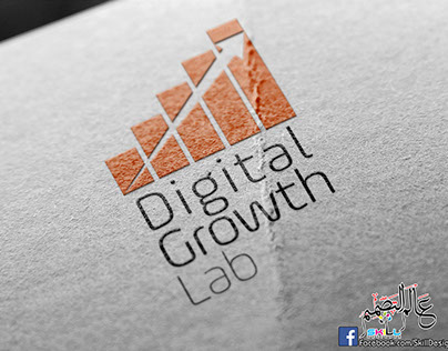 Digital Growth Lab - Idea Number 2