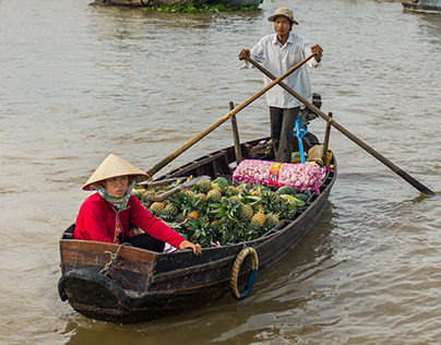Mekong-delta, Vietnam