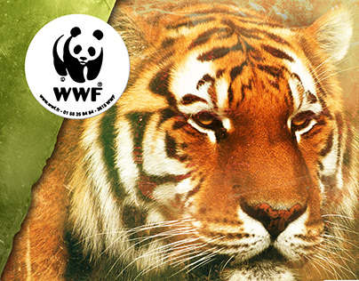 WWF/Lettre client