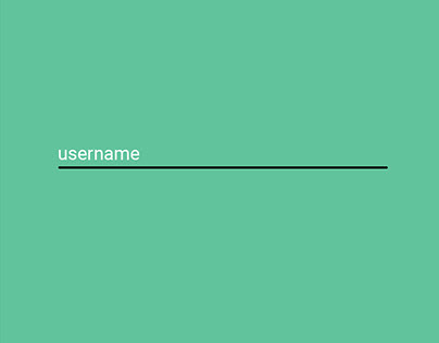 Username - Micro-Interaction