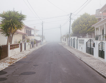 Misty Mornings in Portugal 1
