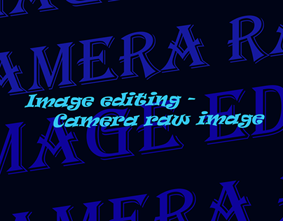 image editing -camera raw filter