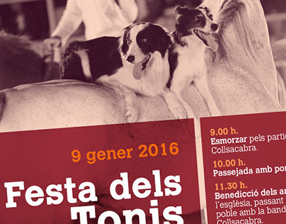 Poster - Festa dels Tonis
