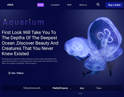 Aquaruim website ,for ocean lovers