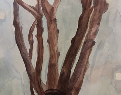Watercolor Project - Spring 2012