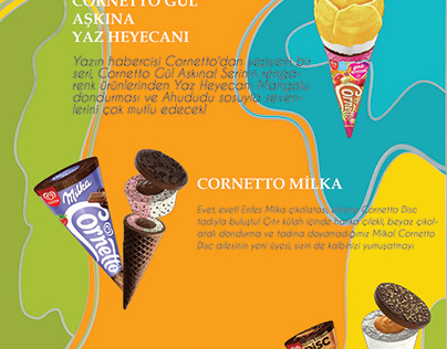 Algida Product Promotion Brochure (Ödev)