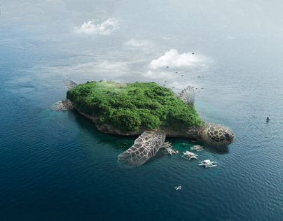 Turtle Island Manipulation