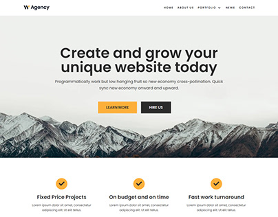 Web Agency - wordpress website
