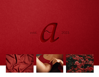 Project thumbnail - Aesthetic logo design for women lingerie brand