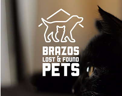 Brazos Lost and Found Pets