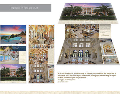 Impactful Tri-fold Brochure