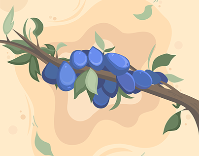 minimalistic illustration of juicy plums.