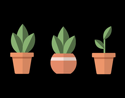 Minimal Plants