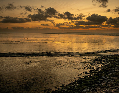 The waddenzee, at the Netherlands, Germany and Danmark.
