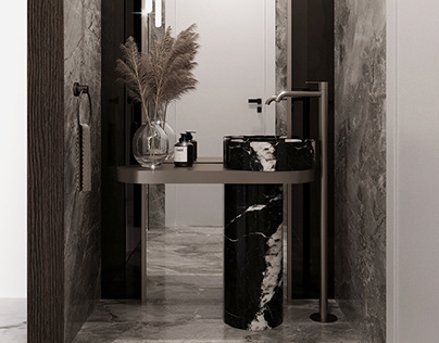 GUEST TOILET ( Hyde Park) approved by Odexe architects