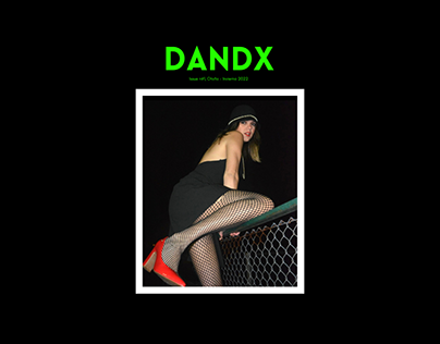 Project thumbnail - DANDX