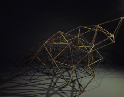 Structure model