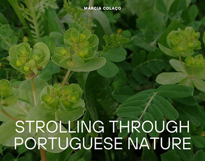 Strolling Through Portuguese Nature