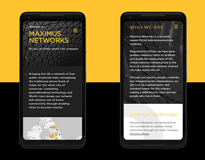 Maxnet Website