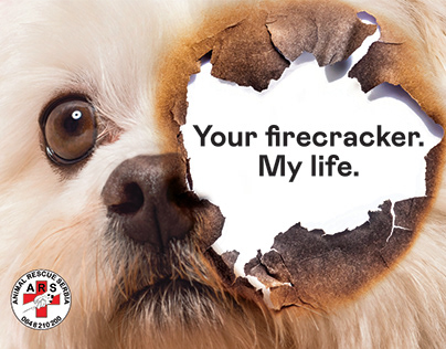 Your firecracker. My life.