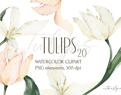Watercolor Tulips clipart. Floral png collection.