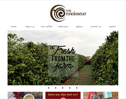 The Connoisseur - website design for assignment