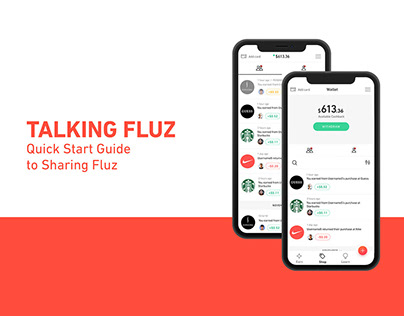 Online Start Guide for Fluz