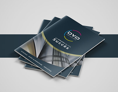 Print Design - Brochure BVP