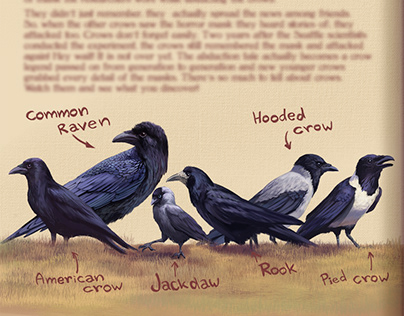 Fun facts about crows, Illustration and chart