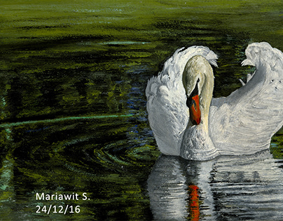 Oil Painting - Swan