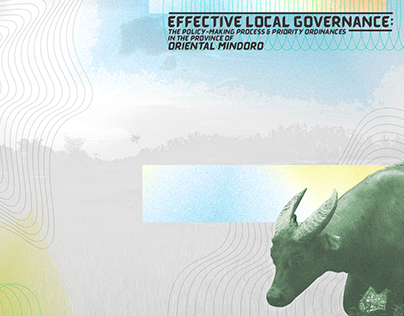 Effective Local Governance (Webinar)