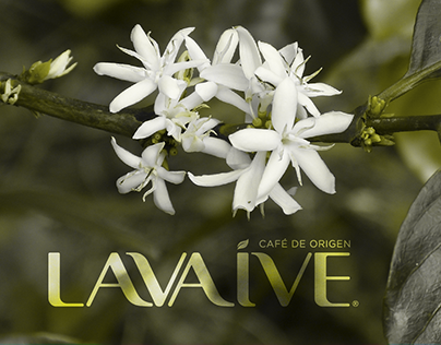 Creación de marca para Café Lavaive