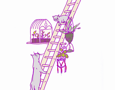 Cat ladder