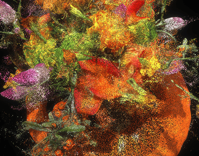 Pollen Pixels 花粉像素 - 万灵