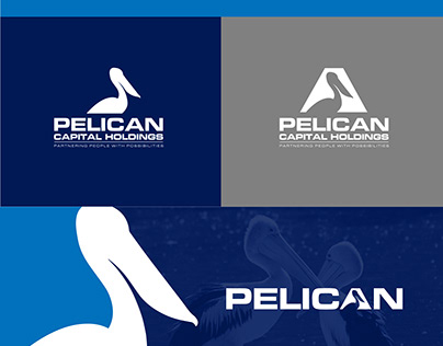 Pelican Capital Holdings Logo and Branding